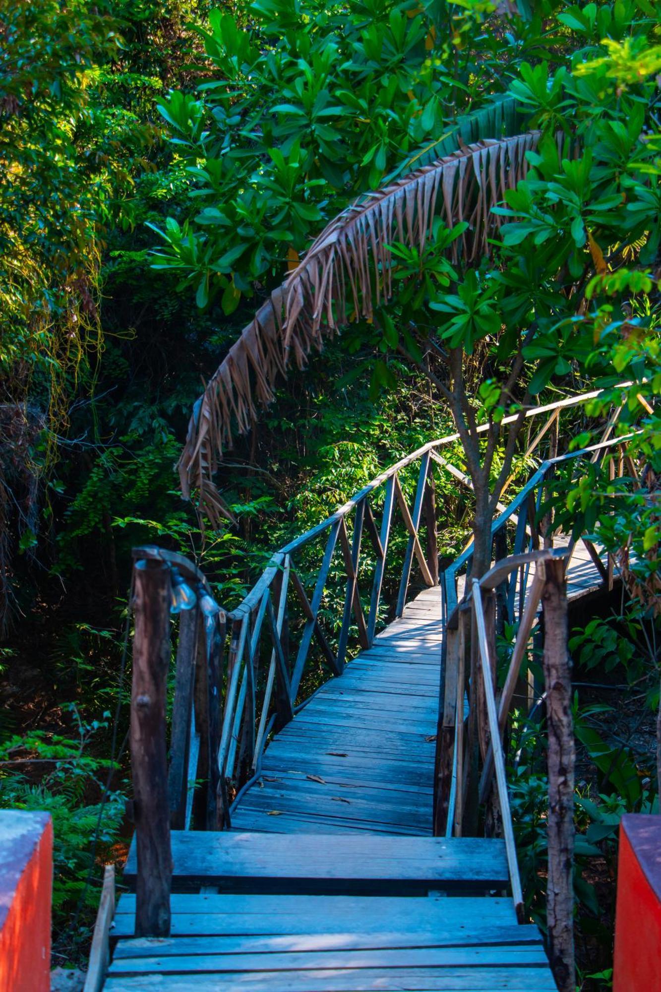 Ampazony Oasis Lodge Mahajanga Eksteriør bilde